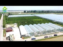 Пядь сельскохозяйственного парника фильма тоннеля одиночная Слой Мулти