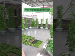 Садовые крытые фермы для выращивания лепестков на гидропонике