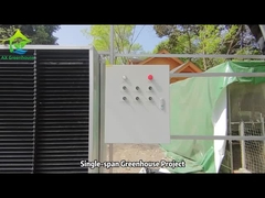 Проект однопролетной теплицы AX Greenhouse Top с персиковым концом