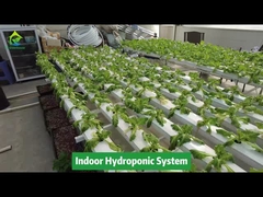 Вертикальное сельское хозяйство, беспочвенное культивирование, гидропонная система квадратных труб NFT
