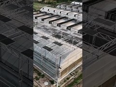 Современная интеллектуальная многопролетная солнечная фотоэлектрическая теплица из поликарбонатной панели Venlo
